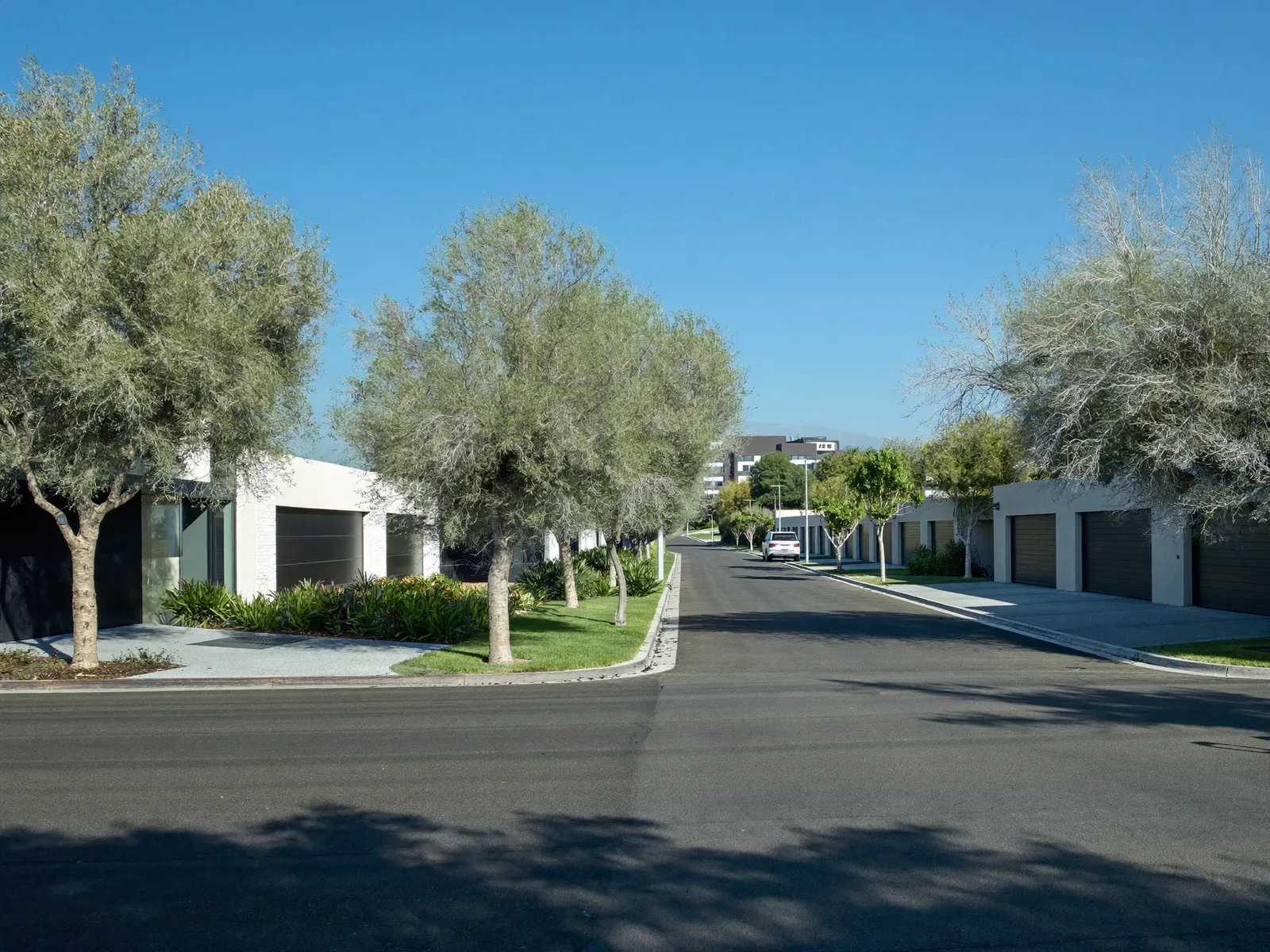 Wide residential street with modern family villas in Jumeirah Park, Dubai